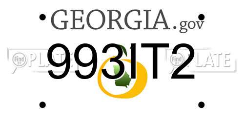 993IT2 Georgia License Plate
