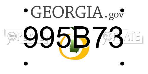995B73 Georgia License Plate