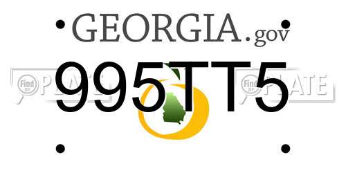 995TT5 Georgia License Plate