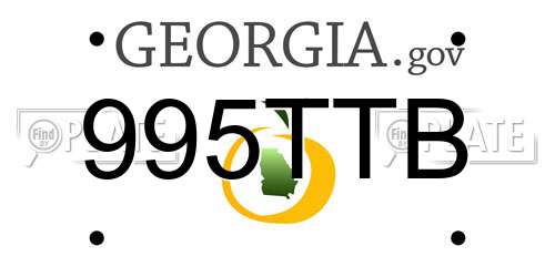 995TTB Georgia License Plate