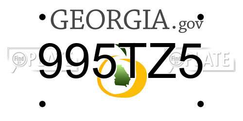 995TZ5 Georgia License Plate