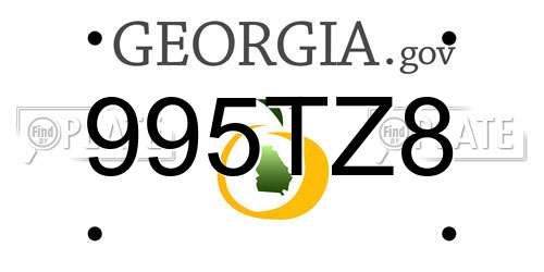 995TZ8 Georgia License Plate