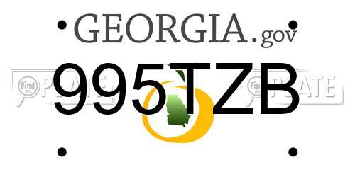 995TZB Georgia License Plate