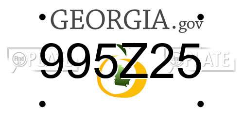 995Z25 Georgia License Plate