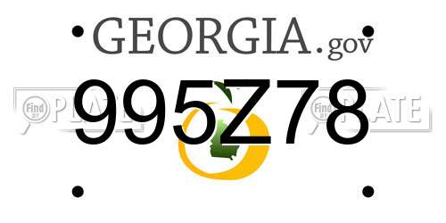 995Z78 Georgia License Plate