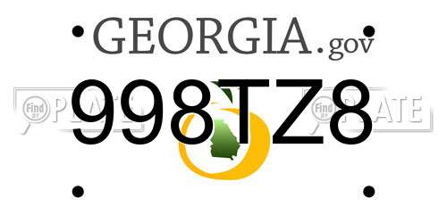 998TZ8 Georgia License Plate