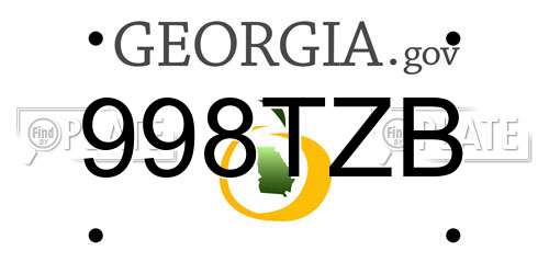 998TZB Georgia License Plate