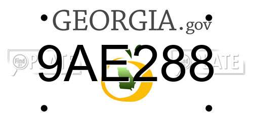 9AE288 Georgia License Plate