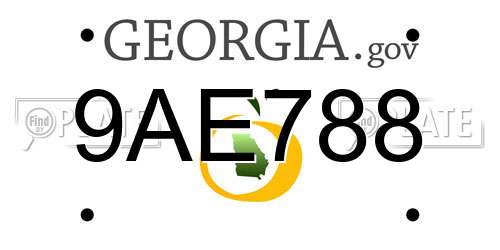 9AE788 Georgia License Plate