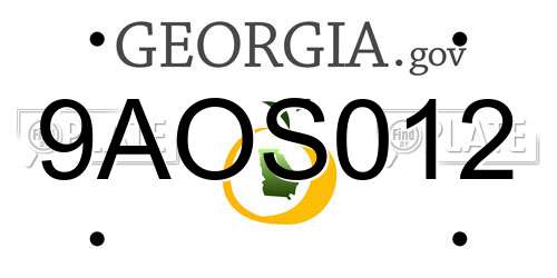 9AOS012 Georgia License Plate