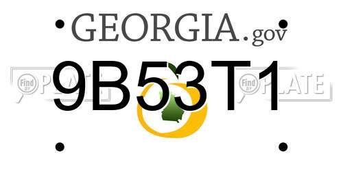 9B53T1 Georgia License Plate