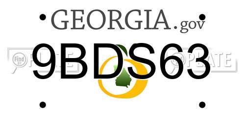 9BDS63 Georgia License Plate