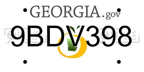 9BDV398 Georgia License Plate