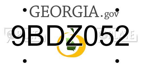 9BDZ052 Georgia License Plate