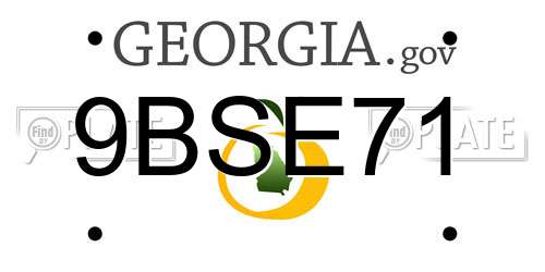 9BSE71 Georgia License Plate