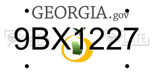 9BX1227 Georgia License Plate