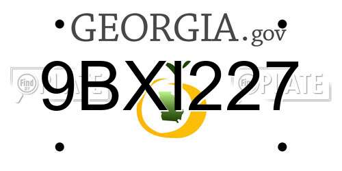 9BXI227 Georgia License Plate