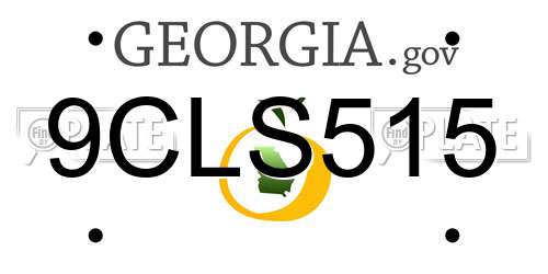 9CLS515 Georgia License Plate