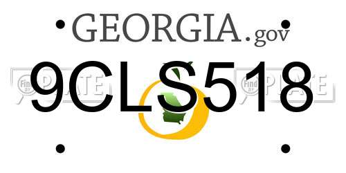 9CLS518 Georgia License Plate