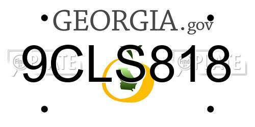 9CLS818 Georgia License Plate