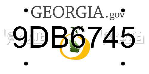 9DB6745 Georgia License Plate