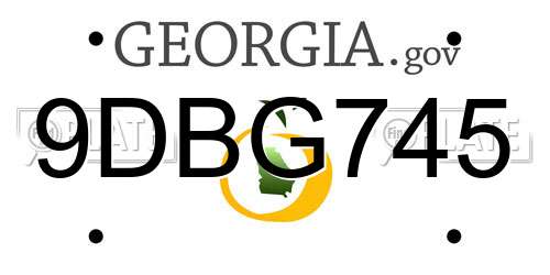 9DBG745 Georgia License Plate