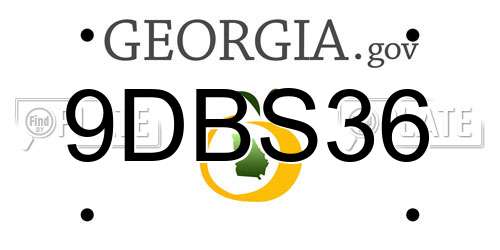 9DBS36 Georgia License Plate