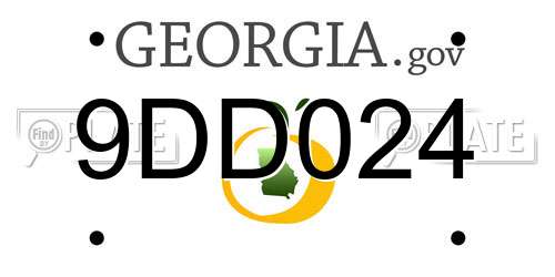 9DD024 Georgia License Plate