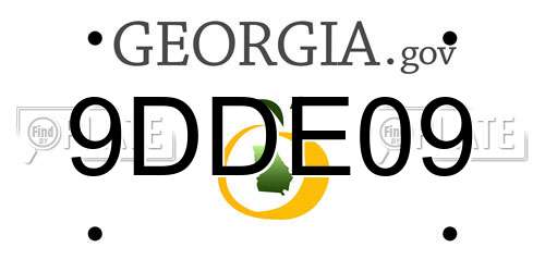 9DDE09 Georgia License Plate