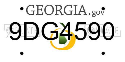 9DG4590 Georgia License Plate