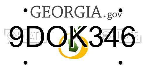 9DOK346 Georgia License Plate