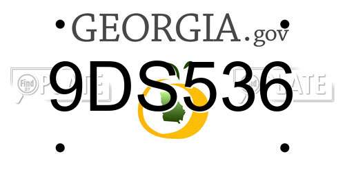 9DS536 Georgia License Plate