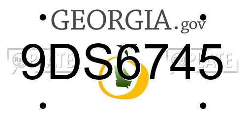 9DS6745 Georgia License Plate