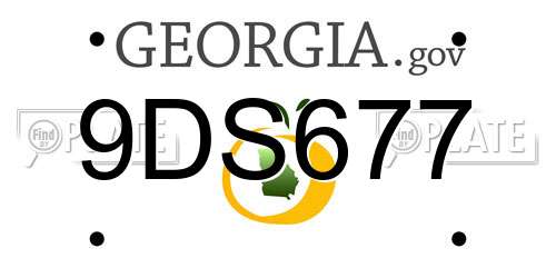 9DS677 Georgia License Plate