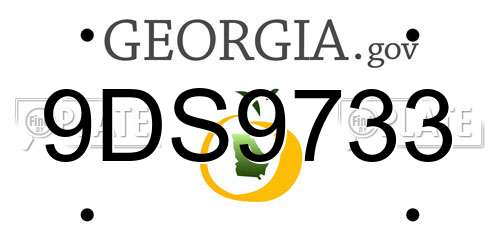 9DS9733 Georgia License Plate