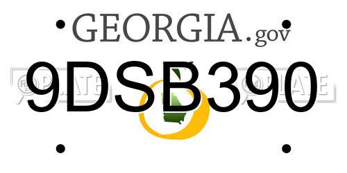 9DSB390 Georgia License Plate