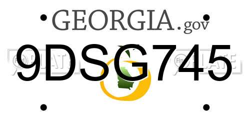 9DSG745 Georgia License Plate