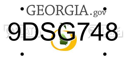 9DSG748 Georgia License Plate