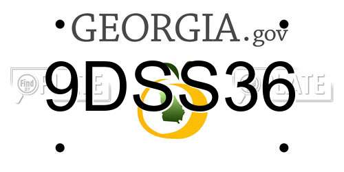 9DSS36 Georgia License Plate