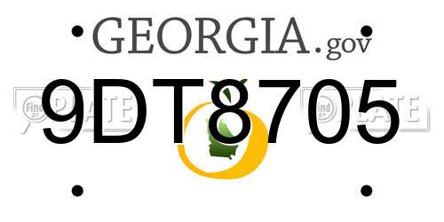 9DT8705 Georgia License Plate