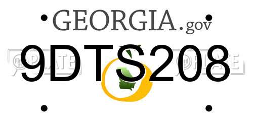 9DTS208 Georgia License Plate