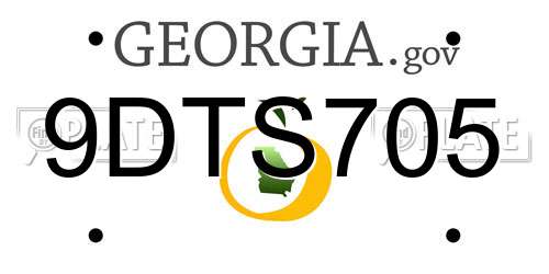 9DTS705 Georgia License Plate