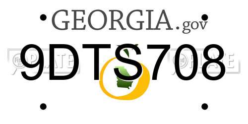 9DTS708 Georgia License Plate
