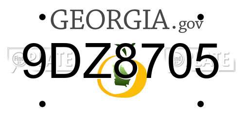 9DZ8705 Georgia License Plate