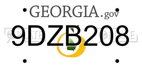9DZB208 Georgia License Plate