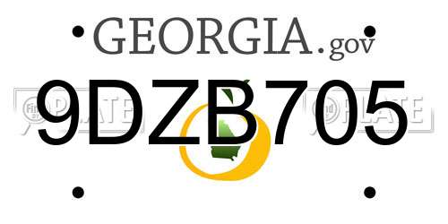 9DZB705 Georgia License Plate