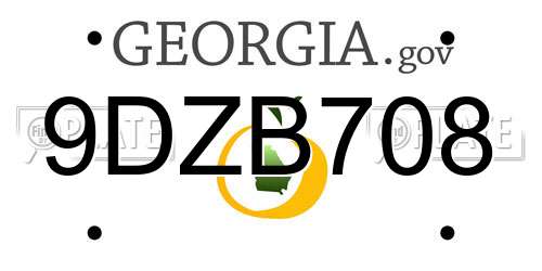 9DZB708 Georgia License Plate
