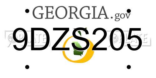 9DZS205 Georgia License Plate