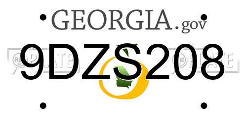 9DZS208 Georgia License Plate