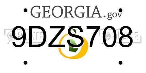 9DZS708 Georgia License Plate